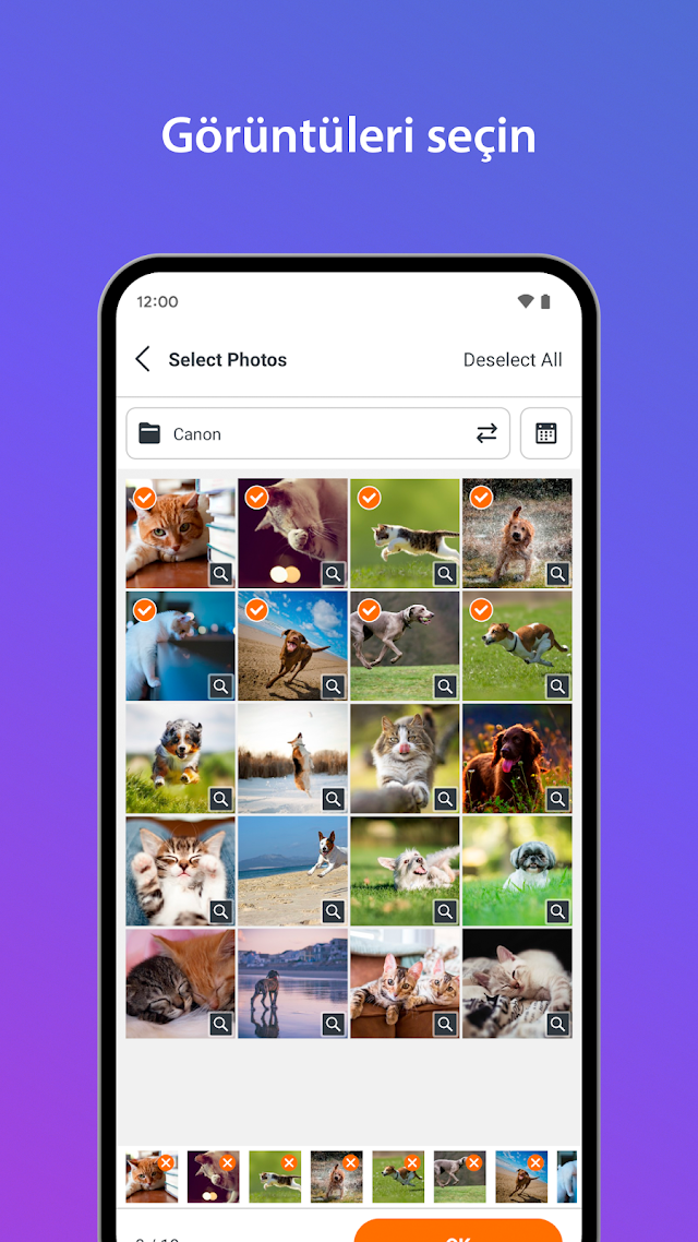SELPHY Photo Layout Resimleri