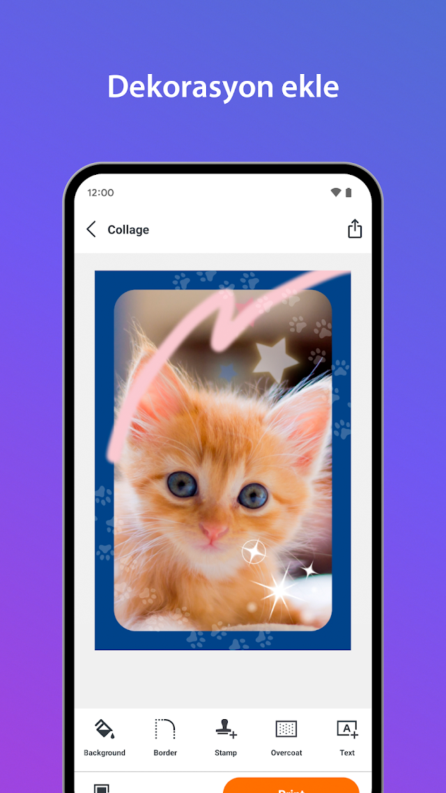 SELPHY Photo Layout Resimleri