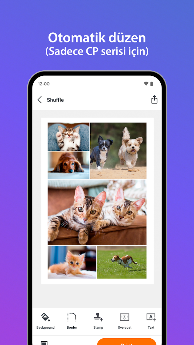 SELPHY Photo Layout Resimleri
