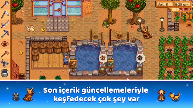 Stardew Valley Resimleri