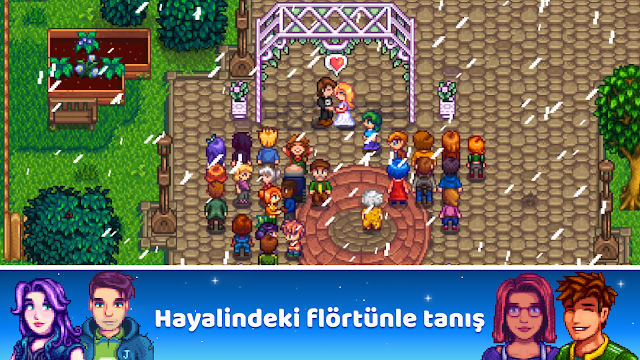 Stardew Valley Resimleri