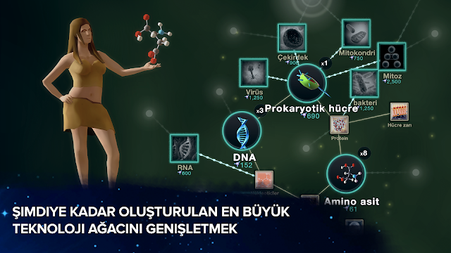 Tekillik i�in H�cre - Evrim Resimleri