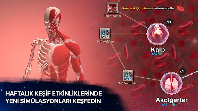 Tekillik i�in H�cre - Evrim Resimleri