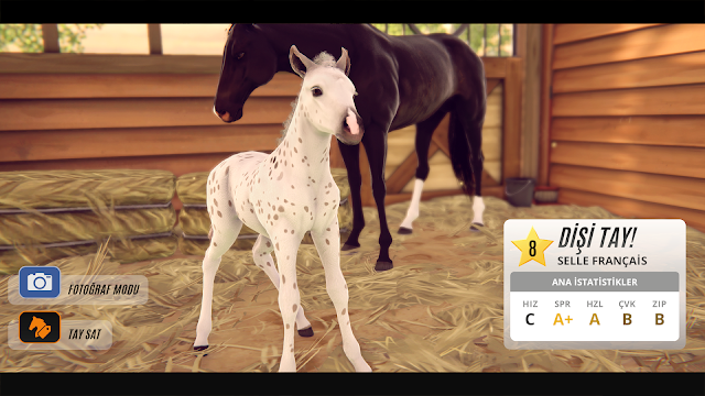 Rival Stars Horse Racing Resimleri