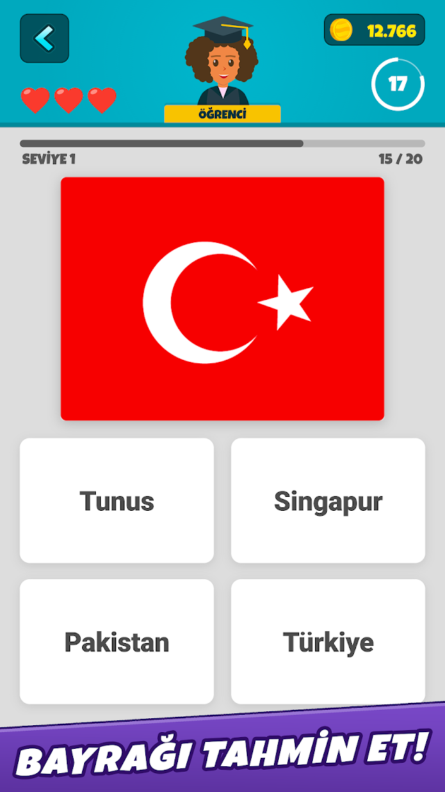 Dünya Bayrakları 2 - Haritalı Resimleri