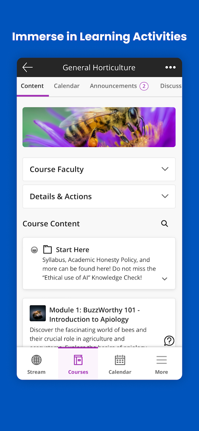 Blackboard Resimleri