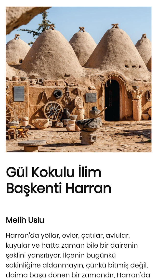Çamlıca Kitap Resimleri