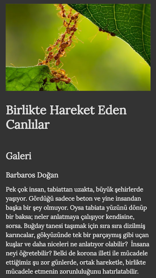 Çamlıca Kitap Resimleri