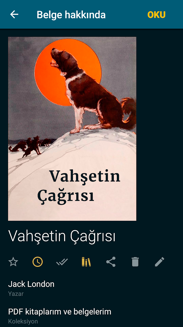 ReadEra kitap okuyucu pdf epub Resimleri