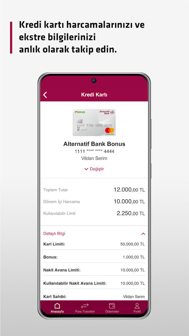 Alternatif Bank Şirketim Resimleri