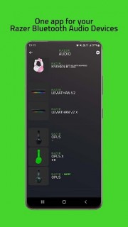 Razer Audio Resimleri