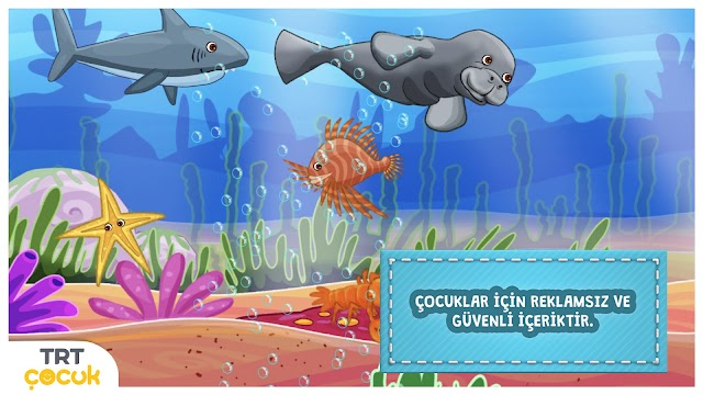 TRT Hayvanları Keşfediyoruz Resimleri