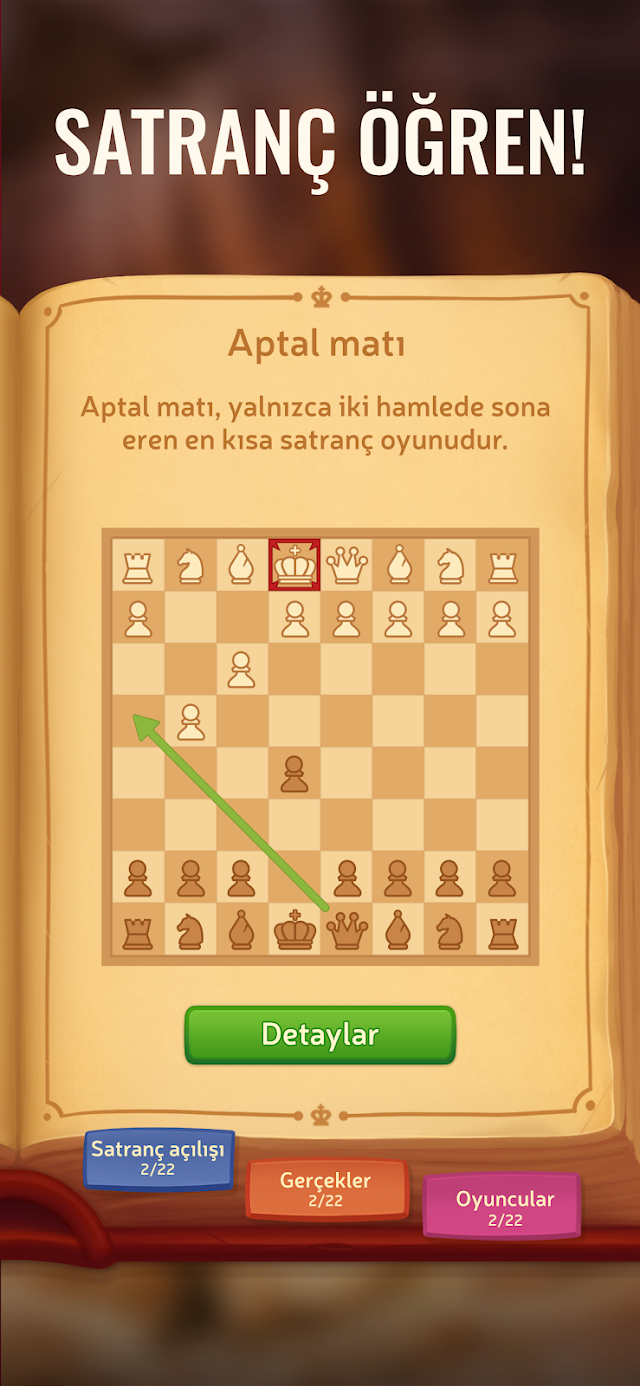 Online Satranç Resimleri