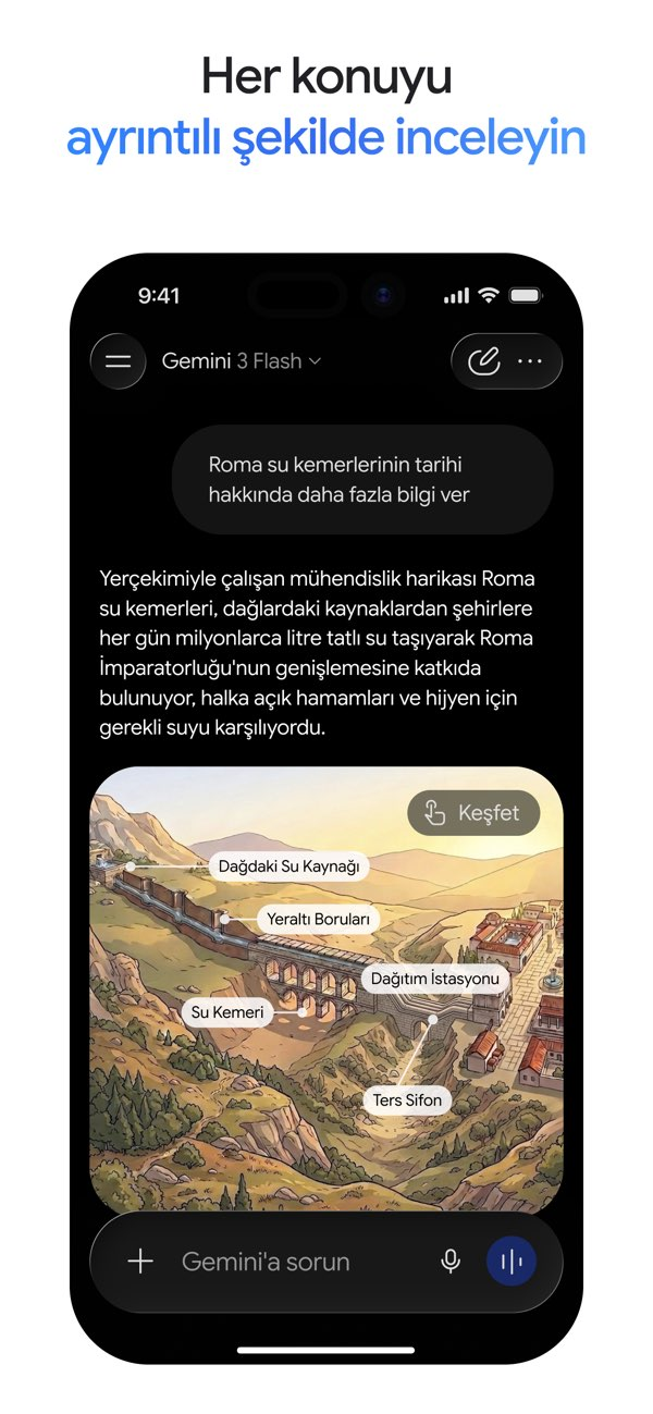 Google Gemini Resimleri