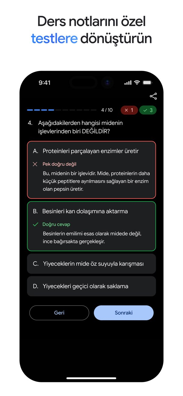 Google Gemini Resimleri