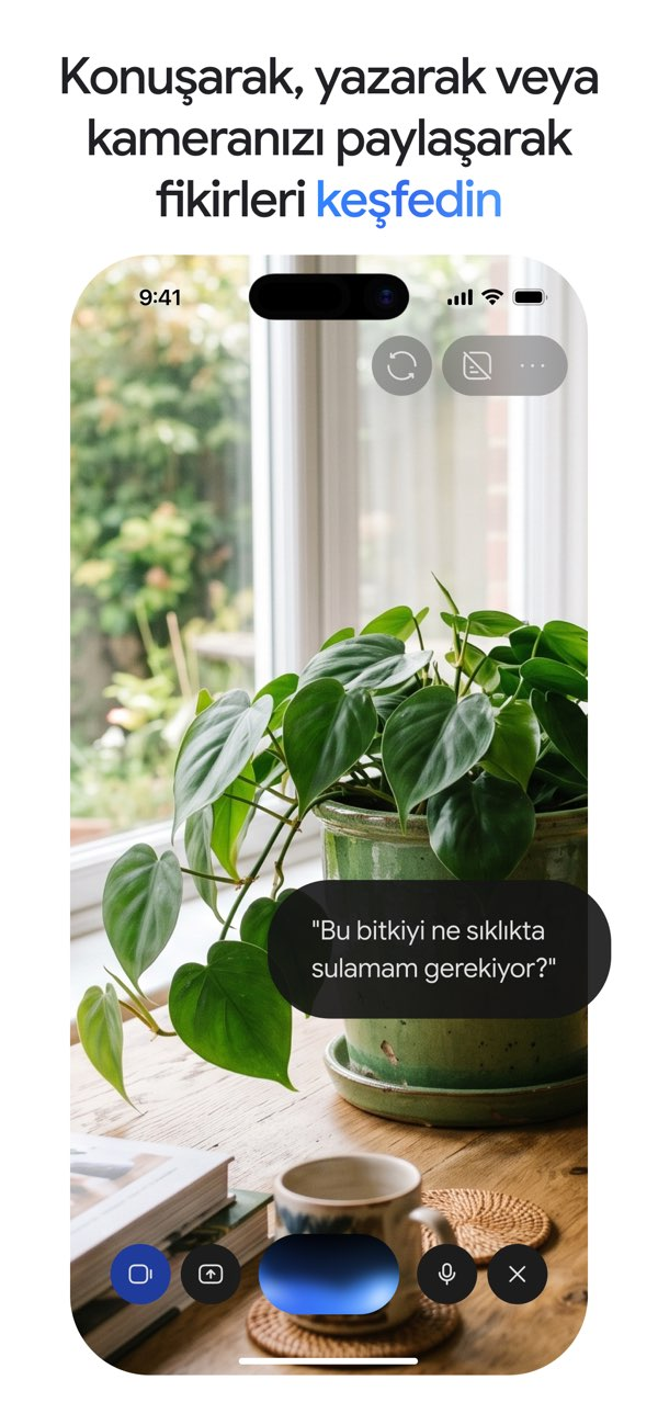 Google Gemini Resimleri