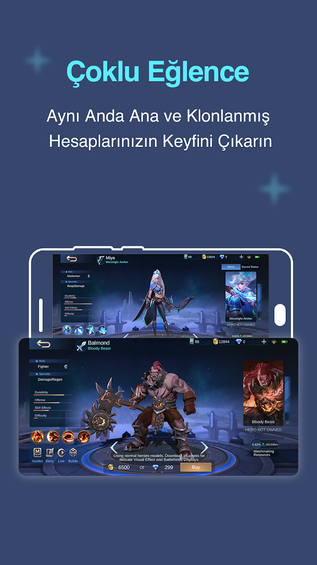 Çoklu Hesaplar: Çift Alan Resimleri