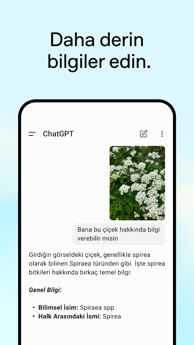 ChatGPT Resimleri