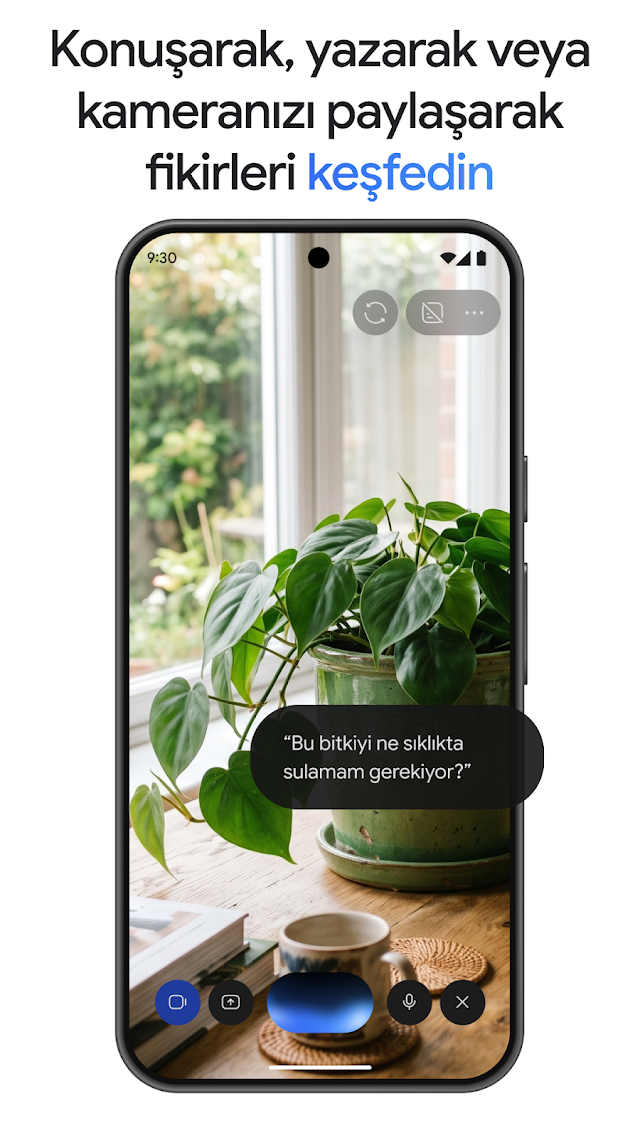 Google Gemini Resimleri