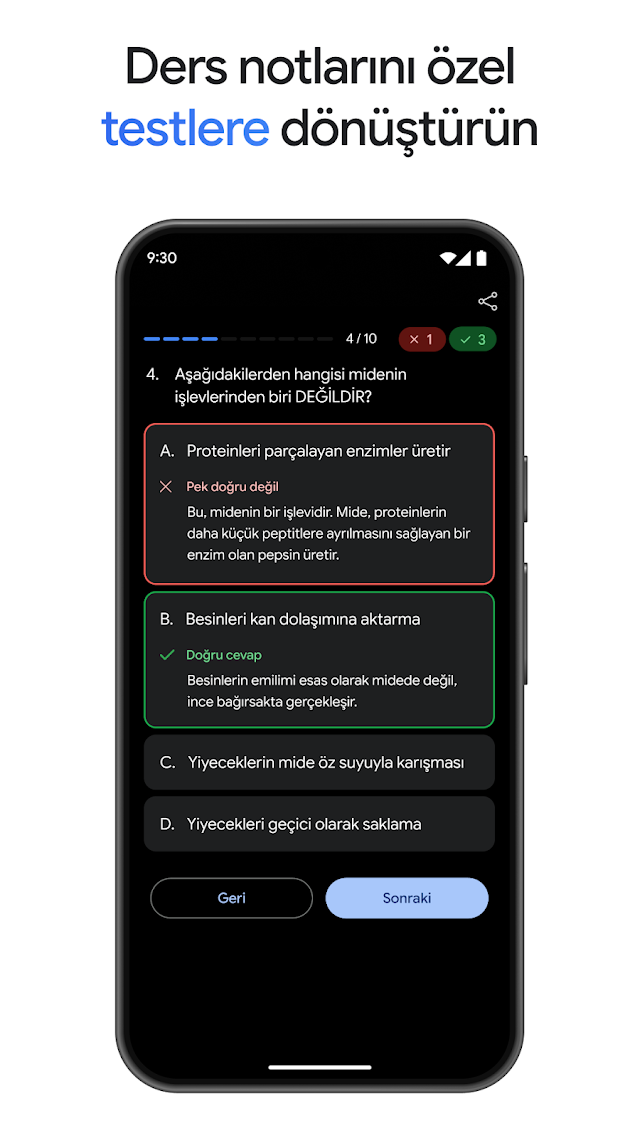 Google Gemini Resimleri