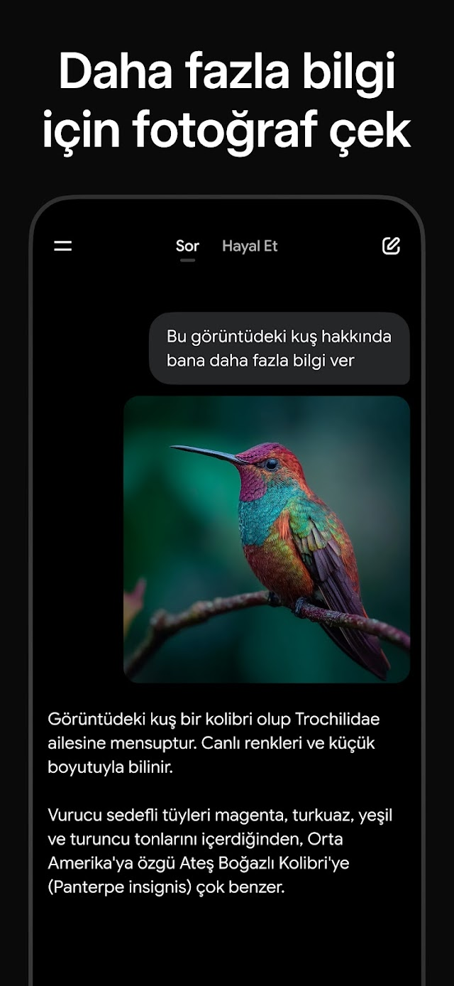 Grok - Yapay Zeka Asistanı Resimleri