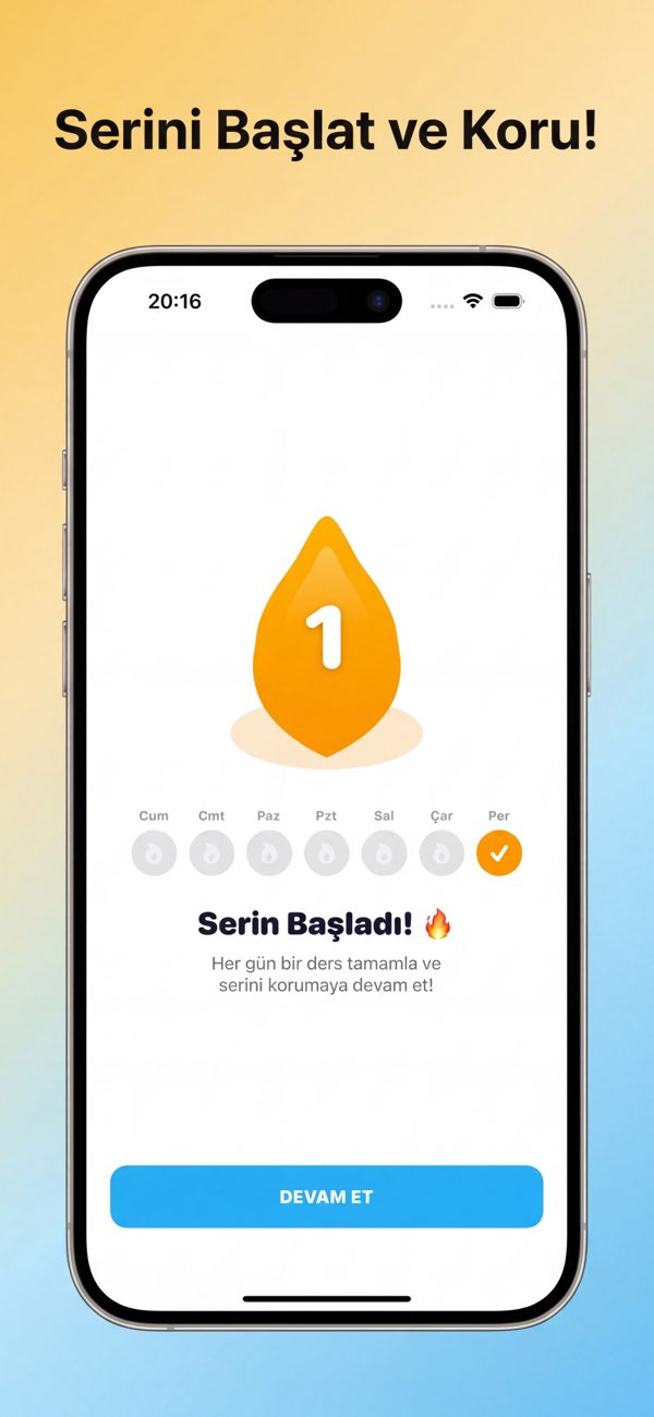 Bobo - YKS Hazırlık Resimleri