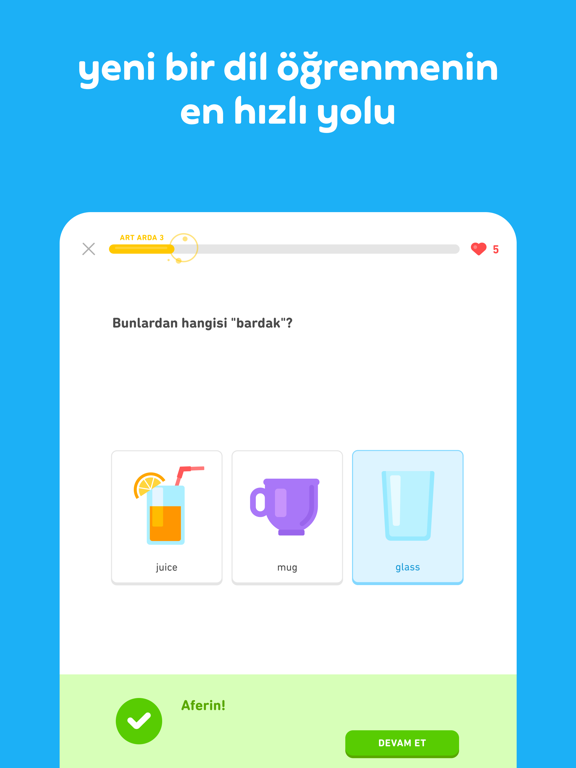 Duolingo: Dil ve Satranç Resimleri