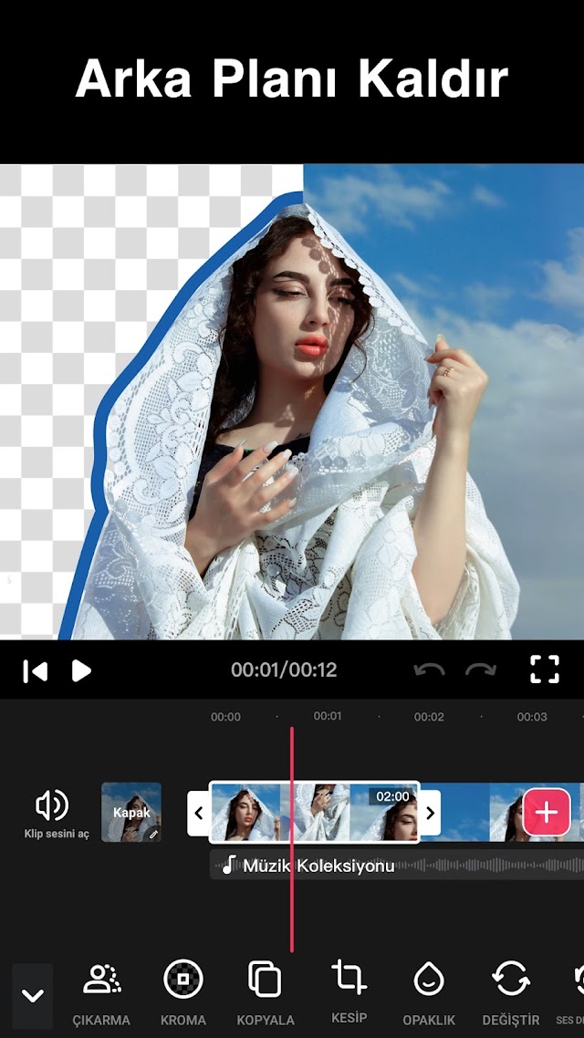 Video D�zenleyici - Video.Guru Resimleri
