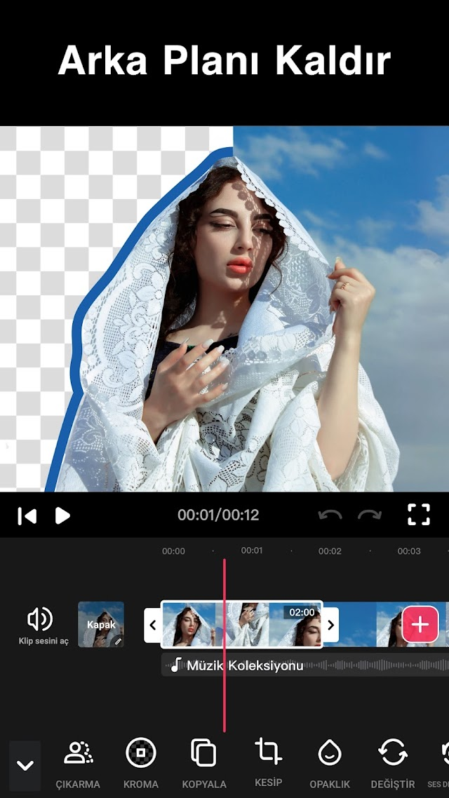 Video Düzenleyici - Video.Guru Resimleri