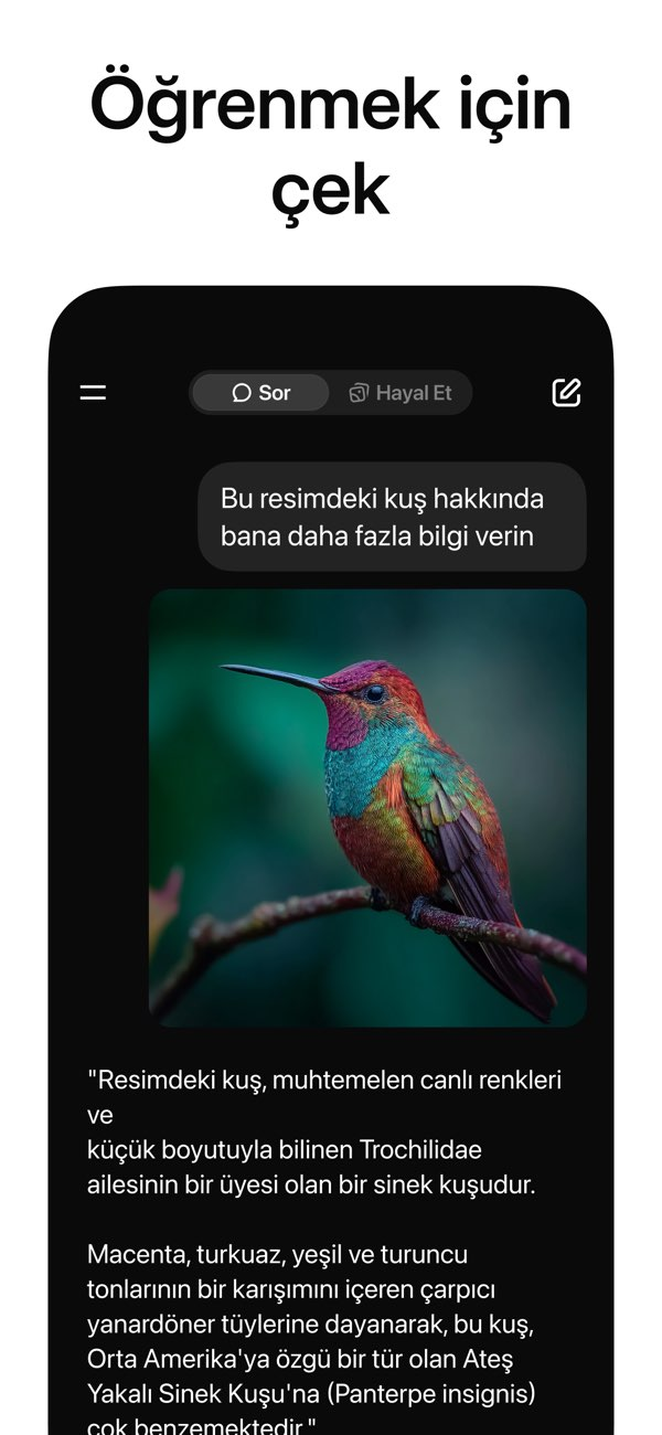 Grok Resimleri
