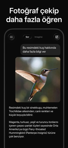 Grok Resimleri