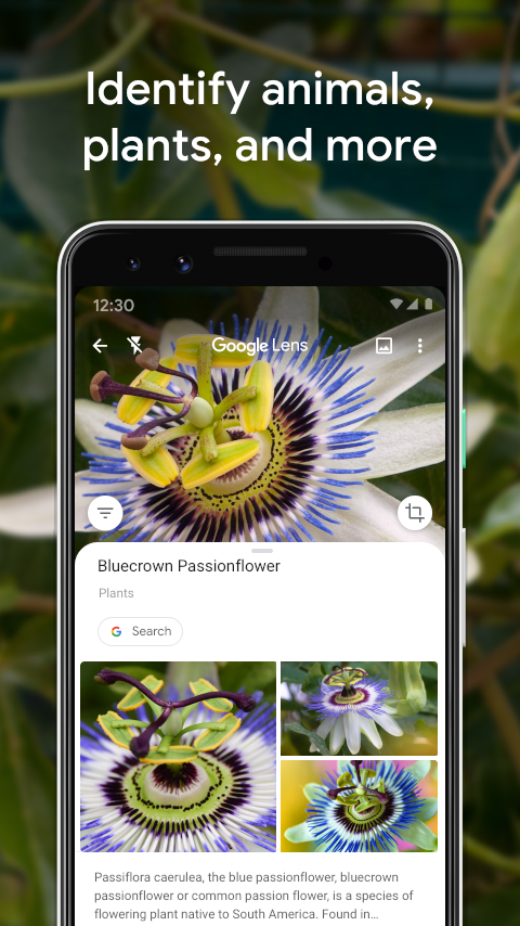 Google Lens Resimleri