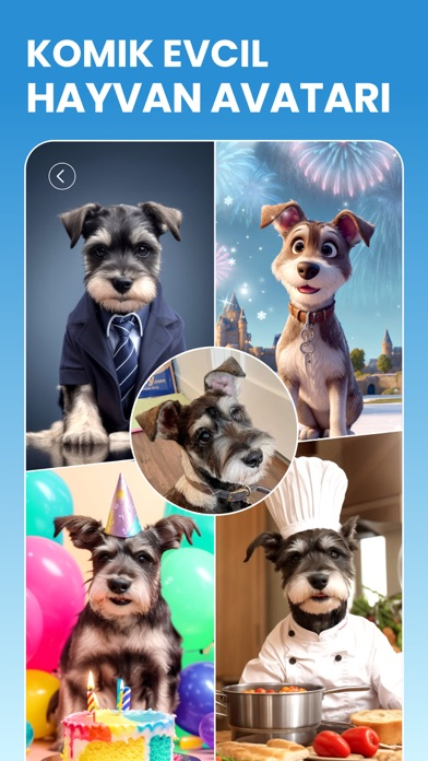 BeautyPlus-YZ Fotoğraf Editörü Resimleri