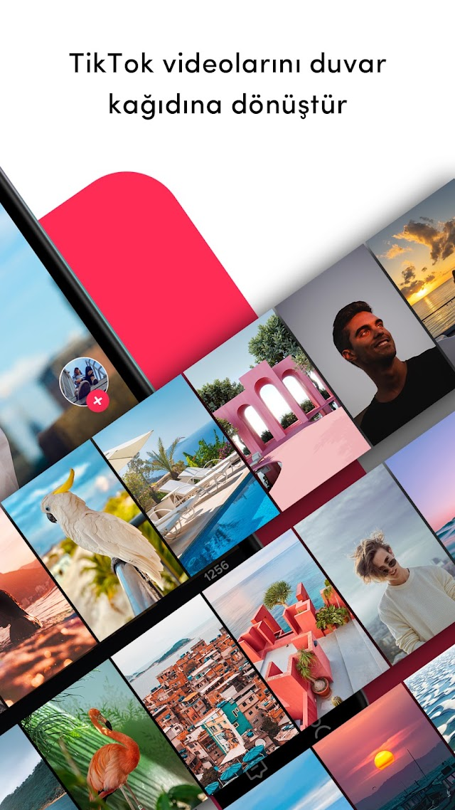 TickTock-TikTok Live Wallpaper Resimleri
