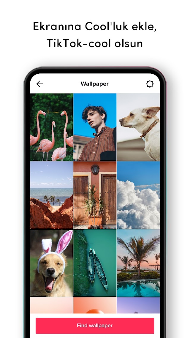 TickTock-TikTok Live Wallpaper Resimleri