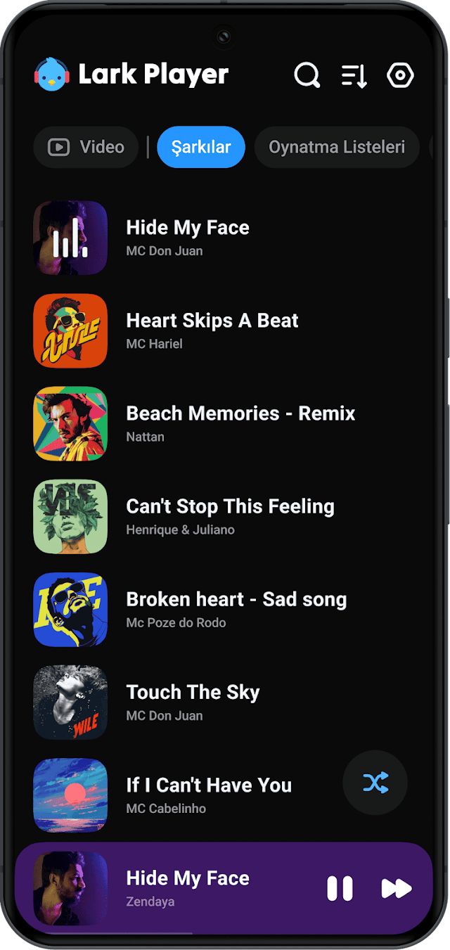 Lark Player: Müzik Çalar MP3 Resimleri