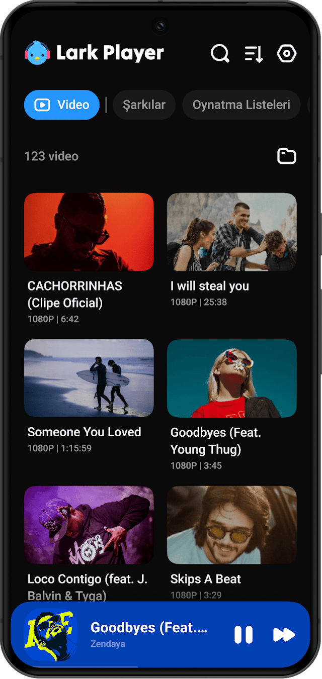 Lark Player: Müzik Çalar MP3 Resimleri