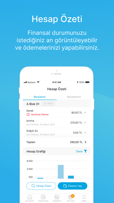 Apsiyon Resimleri