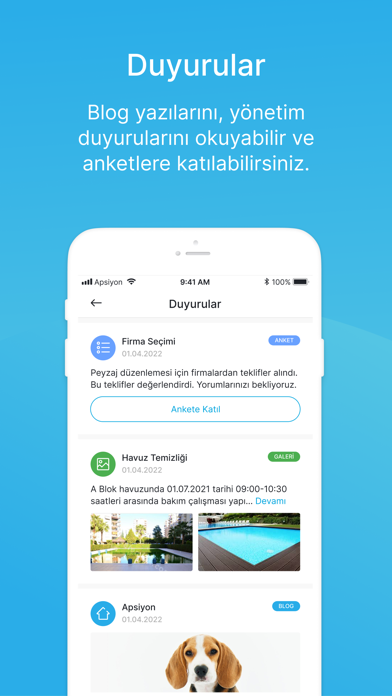 Apsiyon Resimleri