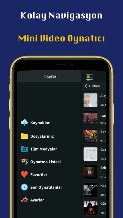 FoxFM - müzik indirme programı Resimleri