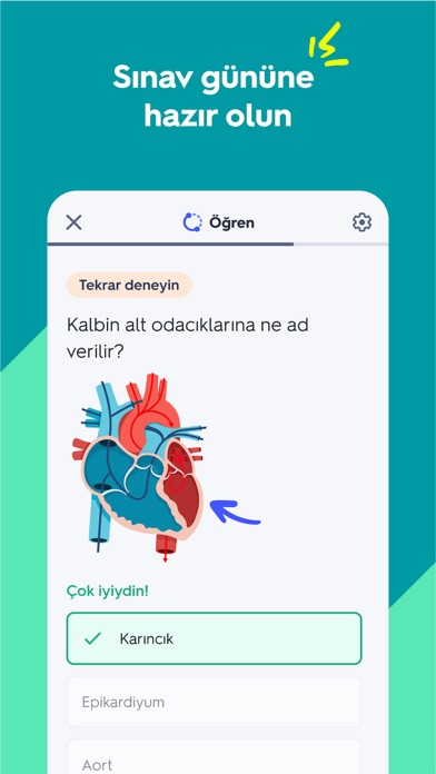 Quizlet: Kartlarla Öğrenin Resimleri
