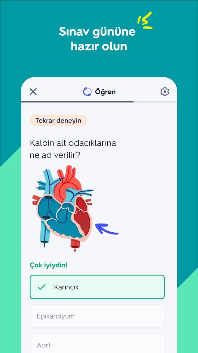 Quizlet: Yapay Zeka ile öğren Resimleri