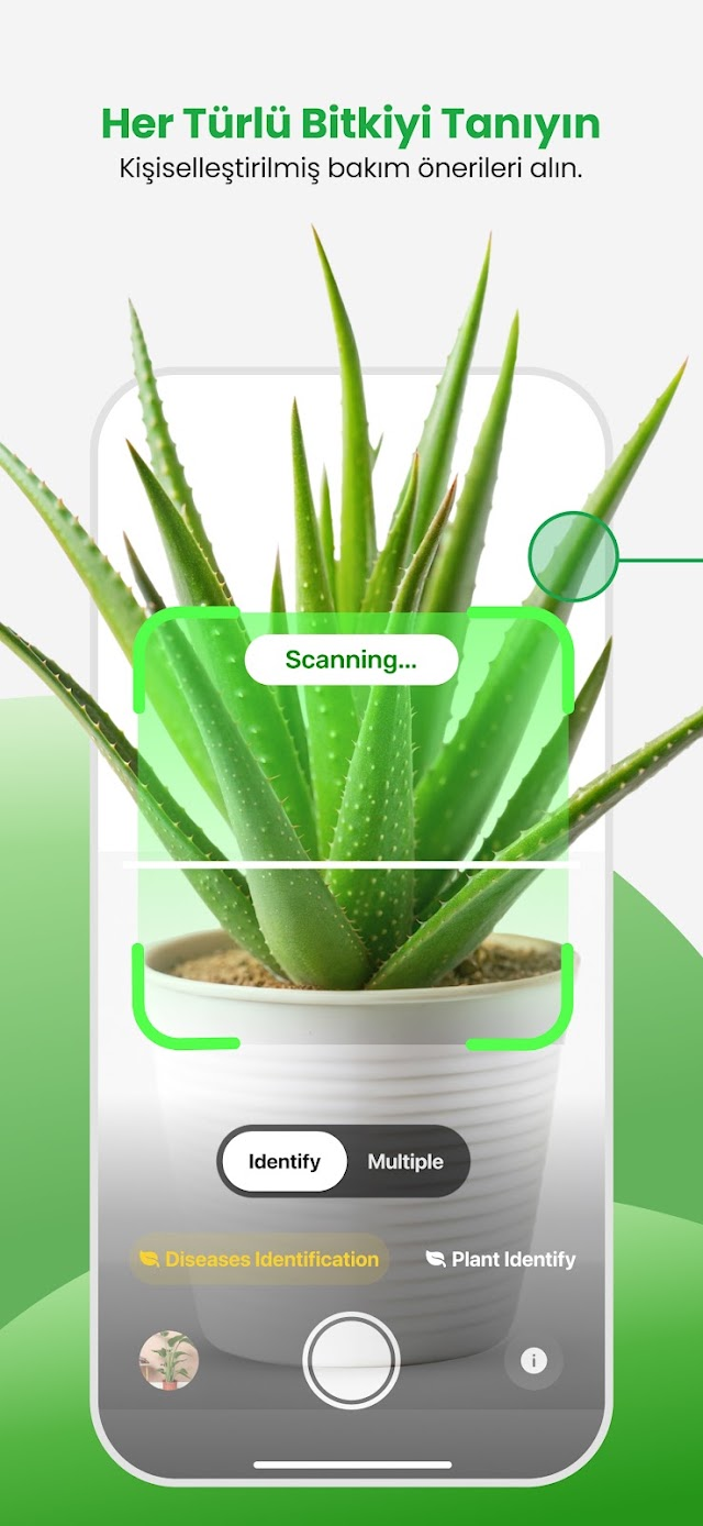 PlantApp – Bitki Tanımlayıcı Resimleri