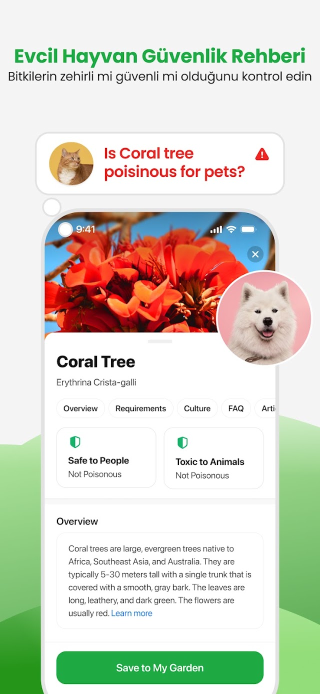 PlantApp – Bitki Tanımlayıcı Resimleri