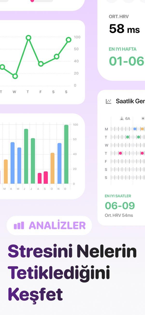 Welldo: AI Stres Takibi Resimleri