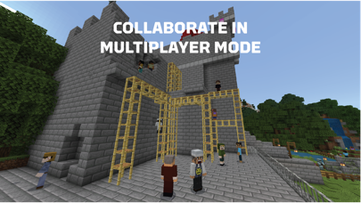 Minecraft Education Resimleri