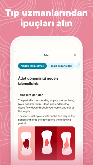 Clue Regl ve Hamilelik Takvimi Resimleri
