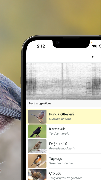 Merlin Bird ID by Cornell Lab Resimleri