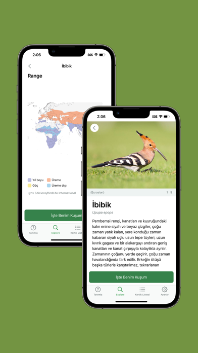 Merlin Bird ID by Cornell Lab Resimleri