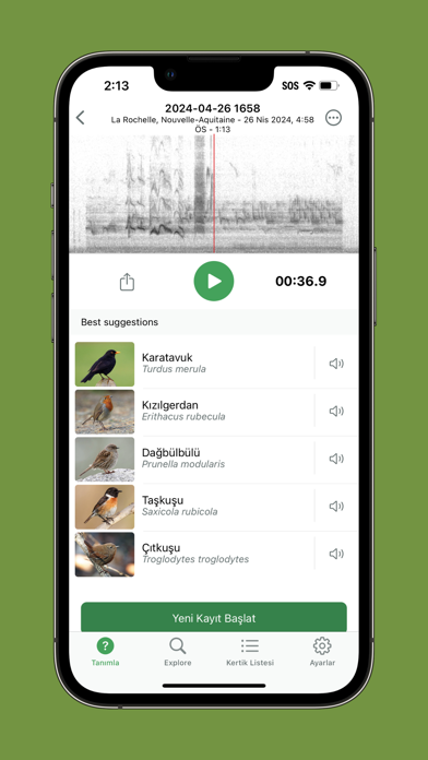 Merlin Bird ID by Cornell Lab Resimleri